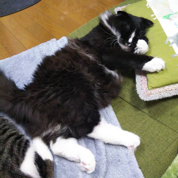 4d44c6fa 428d 414f bcf2 648094821abb 1652683445338