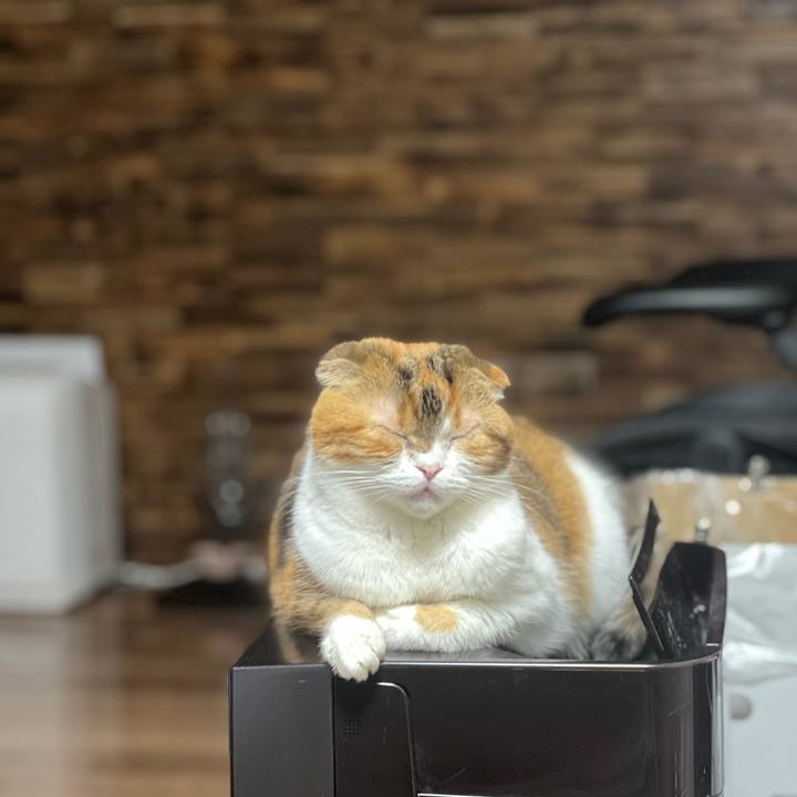 4d44d263 14d0 4ef2 8763 18b71b5ae456 1700475203333