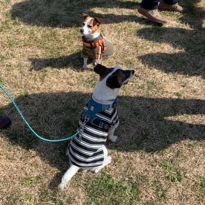 4d44e09c 614f 4573 9339 bbbbb3609025 1771844756244