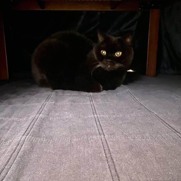 4d45132a 998b 4dd6 b518 25e1f592bcb7 1765197832268