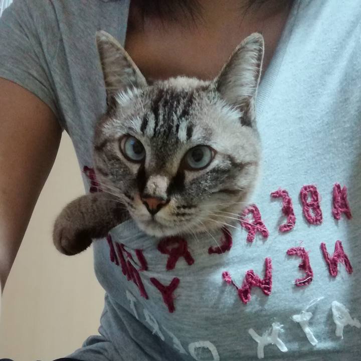 4d45362e 7821 4a94 9bea 40407845396f 1563530440001