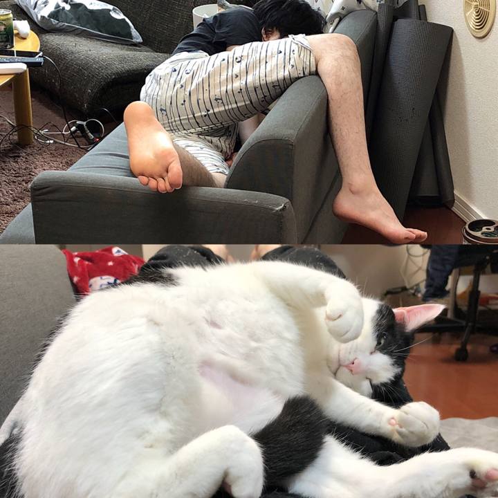 4d4540ef 8098 4619 b28b 64809fd92332 1533548899361