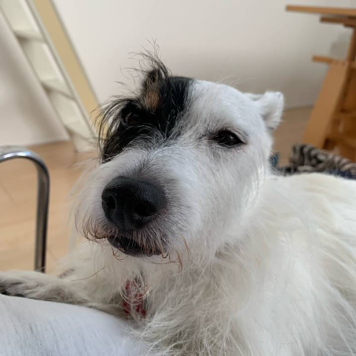 4d454852 b667 49a1 880c 5703bfbf9971 1695083821313