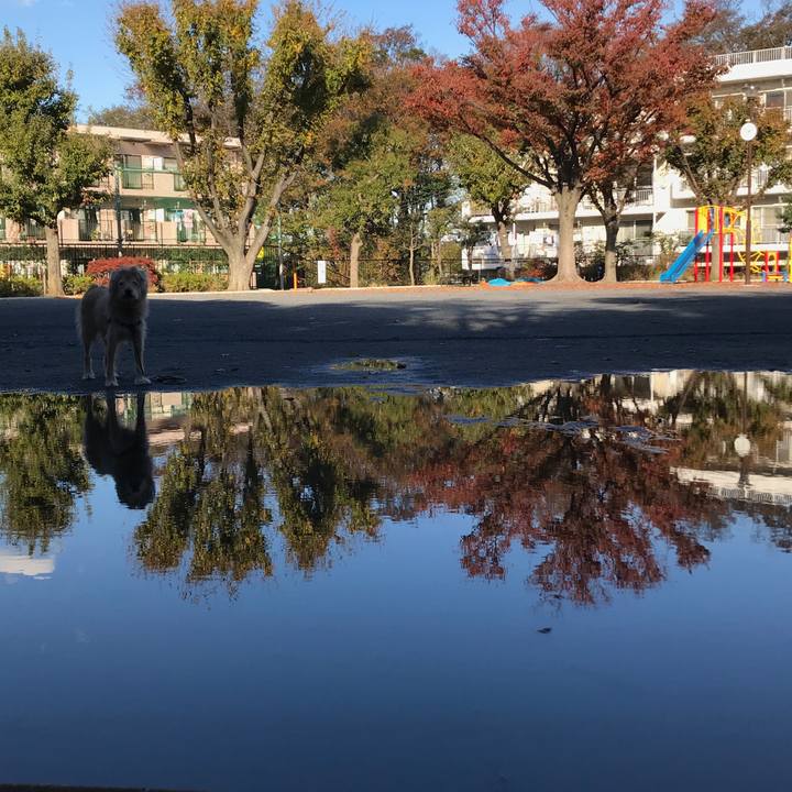 4d4567f5 00bc 40a6 a451 0a97e7ad05c8 1575354411011