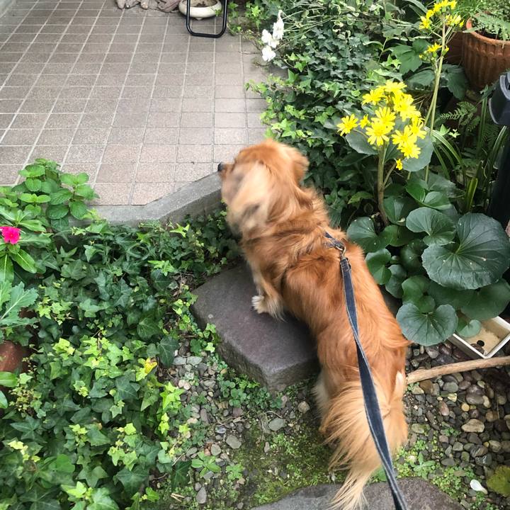 4d458254 c27a 4acc bf32 f17da8cecbd5 1541023801288