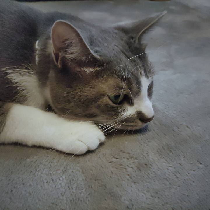 4d459057 4bf3 4bb4 b873 6c94735b83d5 1654942005080