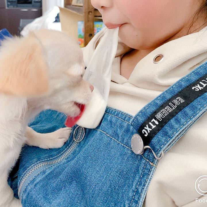 4d45c40c fa45 4a8e 937e 3c09eceadee1 1592202227054