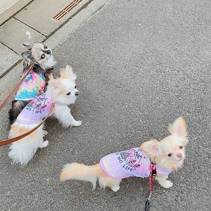 4d45c62f 46cb 4194 a1fb fdf5a7cfb8ef 1623844507251