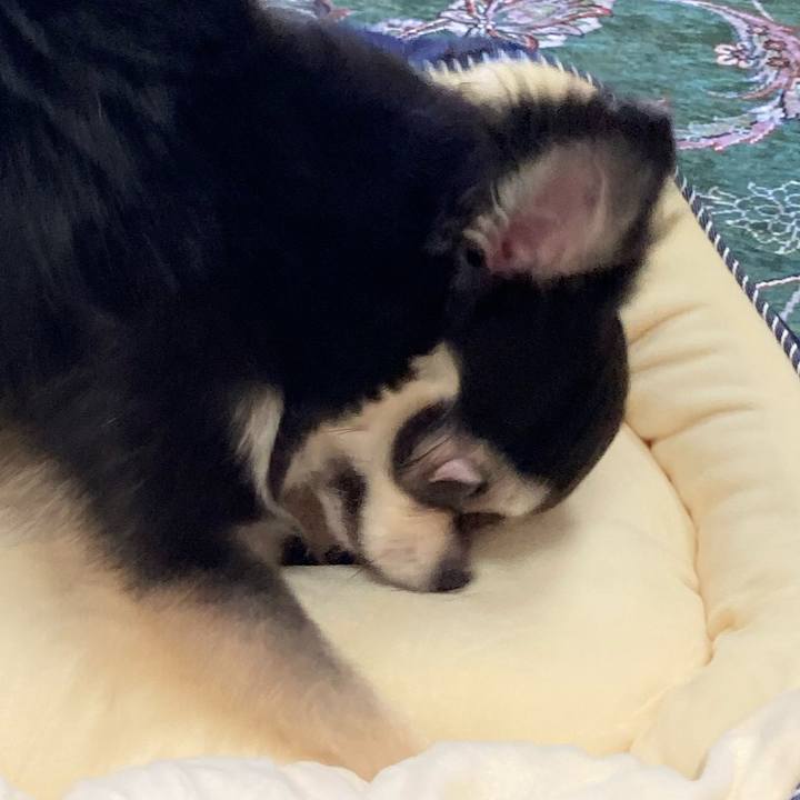 4d45c636 a4f1 47a3 93fb 024914a87e1f 1658067865268