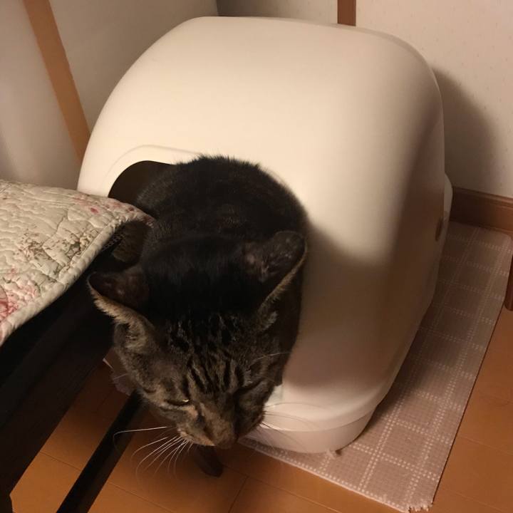 4d45d4e5 28d6 40ed 926a 17038476c653 1573681517196