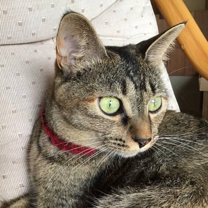 4d45e939 54dc 482d 942a 7e2795343839 1598417131582