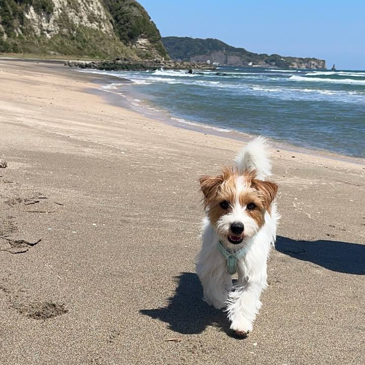 4d4612a9 951e 4cbd 8336 8351c9d20aa1 1775645900843