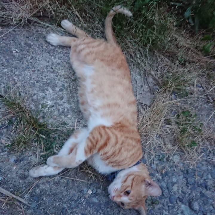 4d462614 516d 4218 bc3e 3fdaf5492f5a 1560508391733