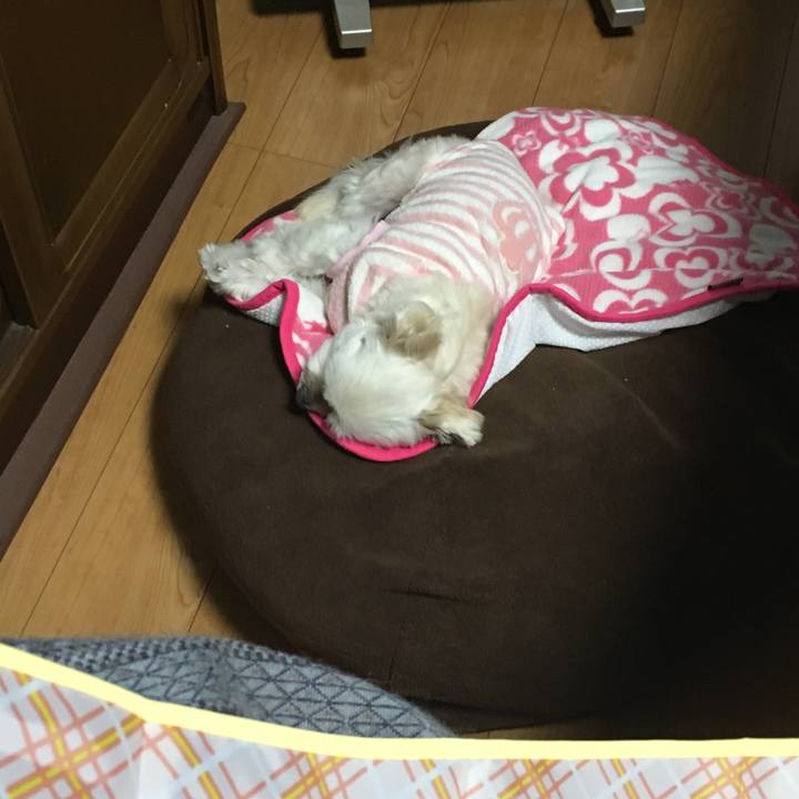 4d46684e 3b30 4316 8f8a 03ca08945b4a 1549938793820