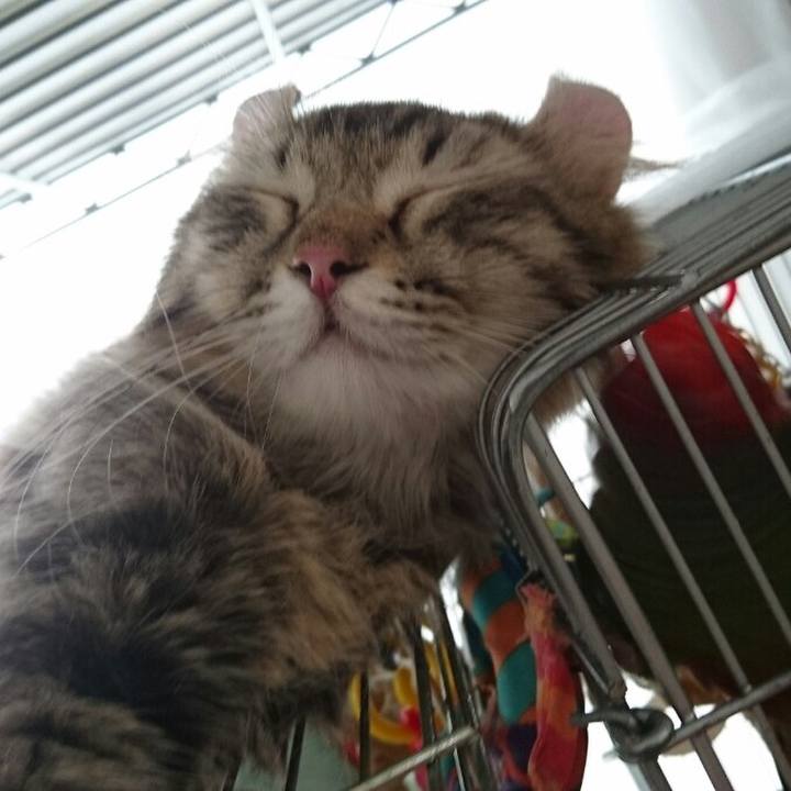 4d467cc3 18cb 4db5 9901 bf580640ca7d 1513306417576