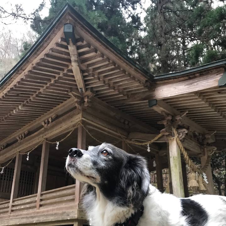 4d46cb68 3382 4c66 8d5b b0a8cf1144d3 1546434354299