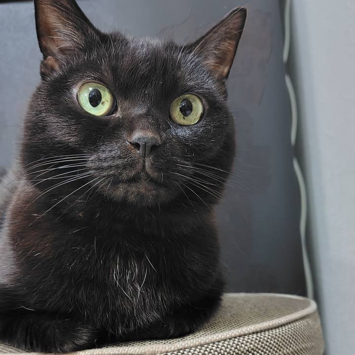 4d46cf67 2e91 4cac 9ea8 cec0c54c7b94 1766485681266