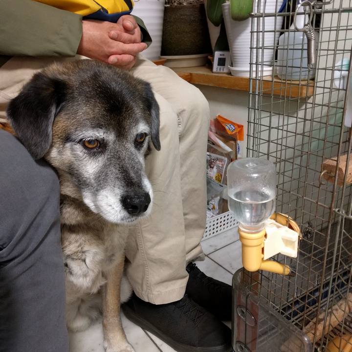 4d471de7 1478 4d52 a27a 12e6177ef9bf 1555759208802