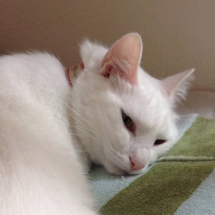 4d472874 c85e 4a04 85e3 779719e3130d 1627361497274