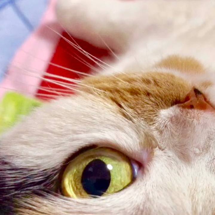 4d473265 3f23 4f5e b9c9 9fcd71b7ddf7 1570088243893