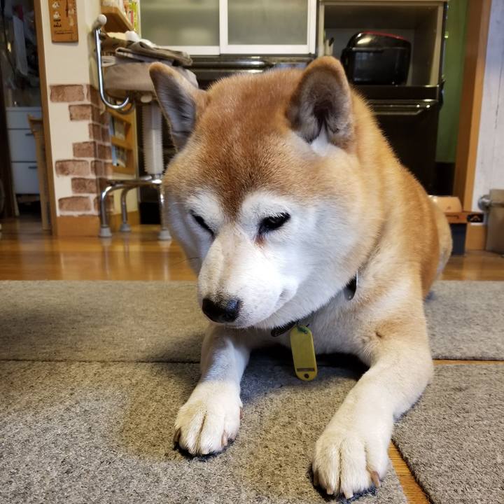 4d474389 04ba 4c6d b35c 24ca045bf14f 1637361607443