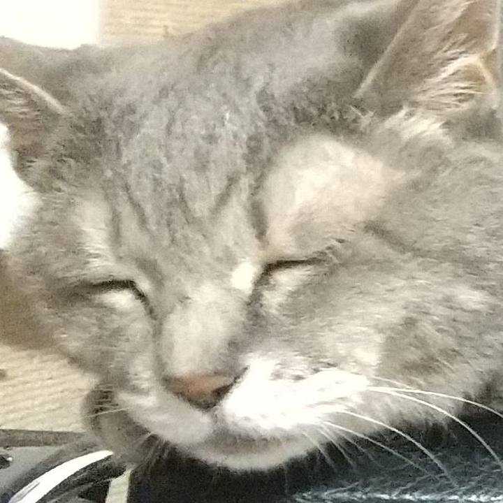 4d479966 2834 4442 ab37 7d4499398e35 1692185239902