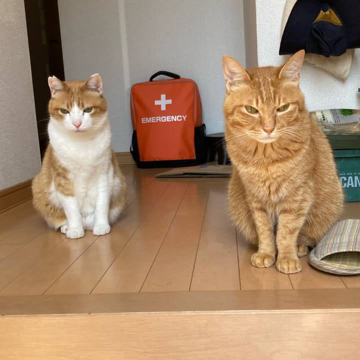 4d47e760 fe7d 4819 b4f8 f8fddbedf7a1 1753751678596