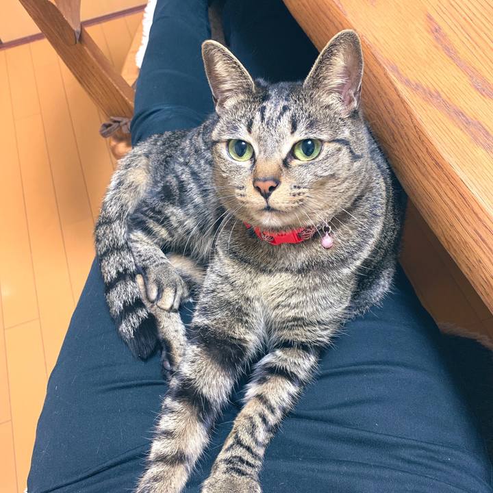 4d47e803 81c9 4362 b11b bce3d2786b3c 1549724540922