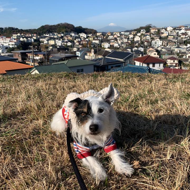 4d47fbb6 28f6 45a2 87af 8bcf90dd400d 1703032970668