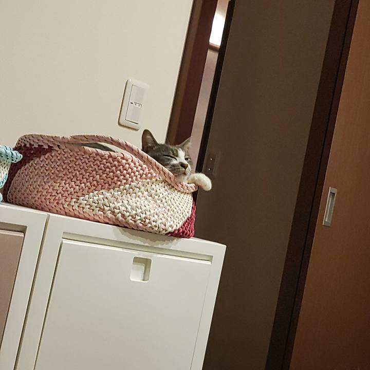 4d48996f 678d 4993 8c3a ed96e52e135b 1667990803918