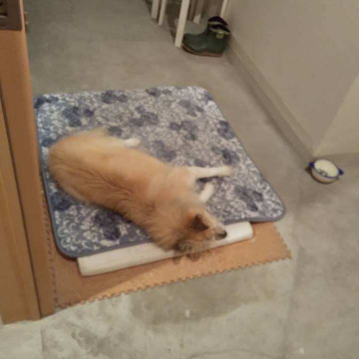 4d48cd60 0886 48ed 82a1 f2f86986d1b6 1574856699849