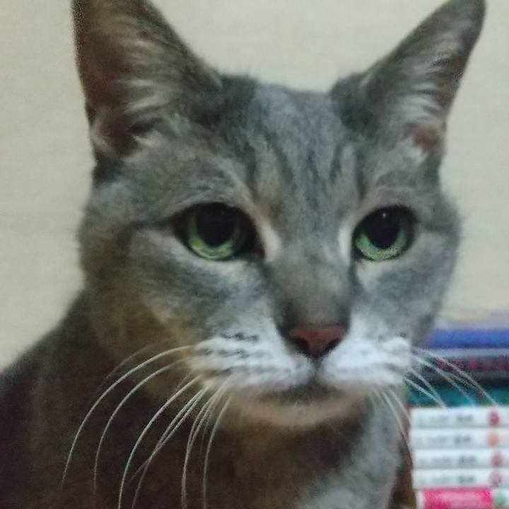 4d495605 90f3 4de8 9e20 1a6482049874 1676471977631