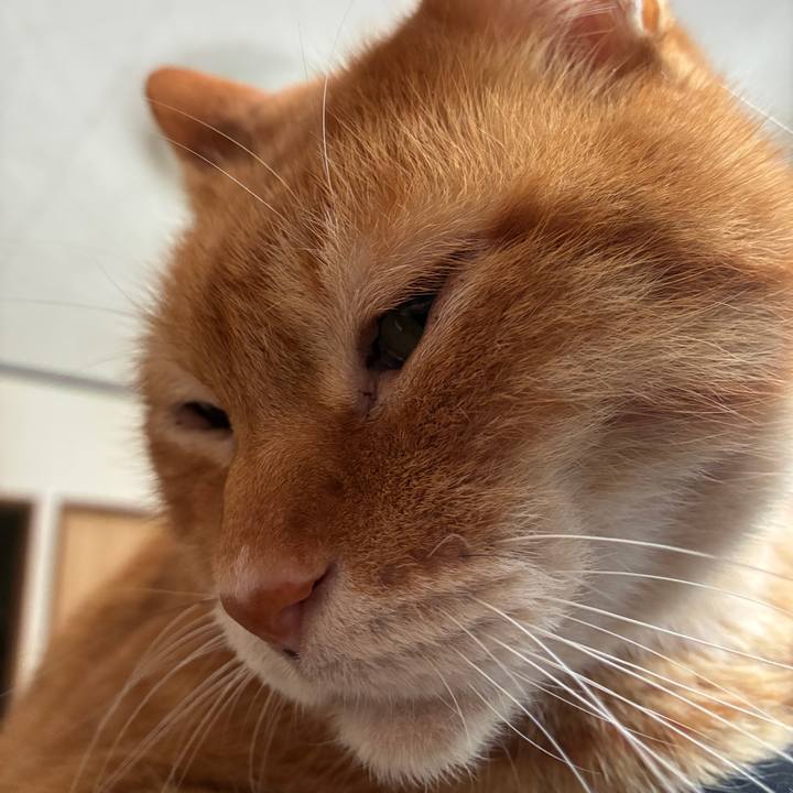 4d497a09 cd8a 4a5a a5fe 198bfa3e9313 1773053738292