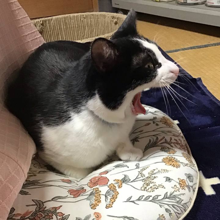 4d499ab8 e172 438f b149 62ec6da54a15 1705914235752