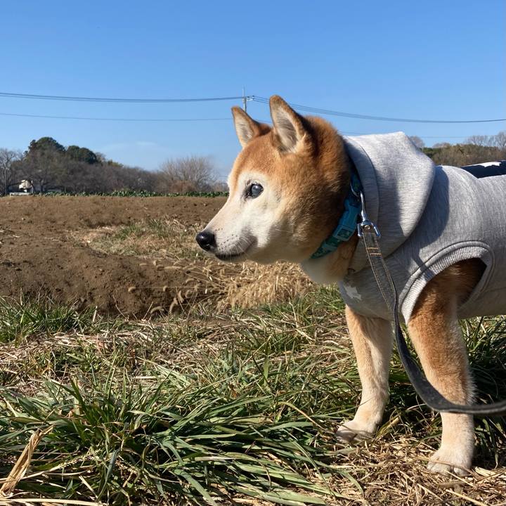 4d49bd25 9c38 4196 b61a c1ffc9d700f2 1771049388336