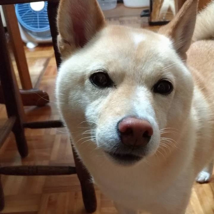 4d49cac4 7af5 4d6e 9dab a6bfd4c86b24 1596672845078