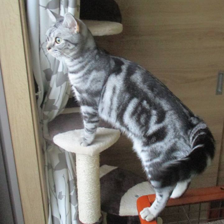 4d49cff6 b669 4ee6 8227 02982b18da87 1569238641092