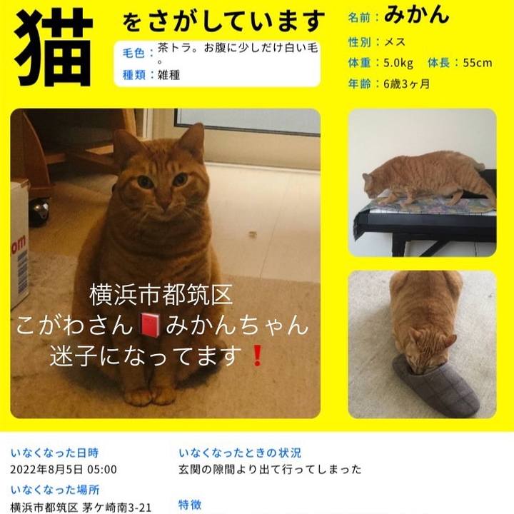 4d49e21c a1db 4da1 9aa3 23399de1bf93 1661855189277