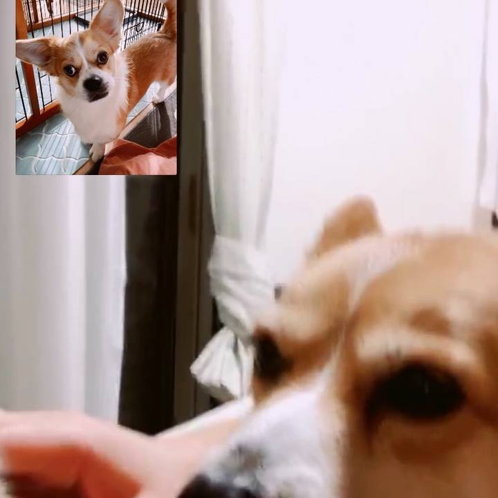 4d49ede2 c2cd 48b2 94c8 4ce66321b5a6 1589453022431