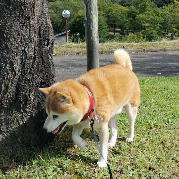 4d4a2fb2 25f3 43ea aafd 3837a8785afe 1726982282266