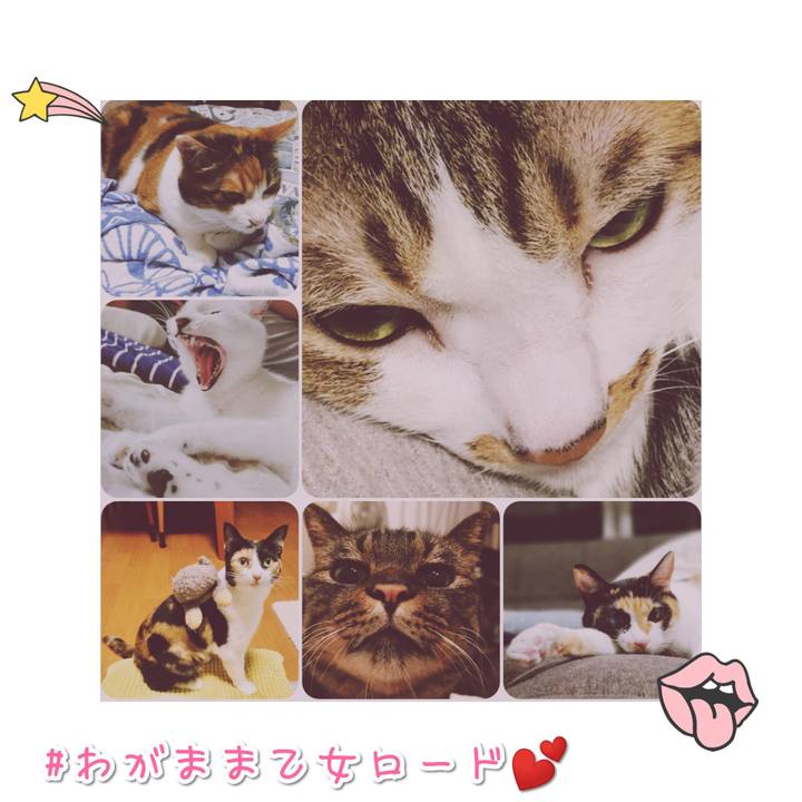 4d4a3abc 9277 4039 94fd 7b46b8afd5dc 1568193946785