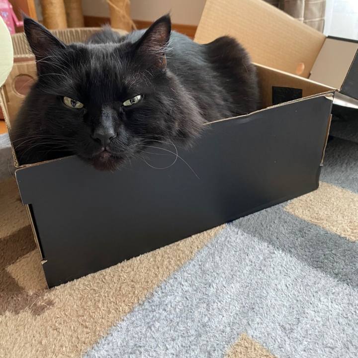 4d4aacf3 3921 4f0d 898c fa6aaee6cf32 1612834673678