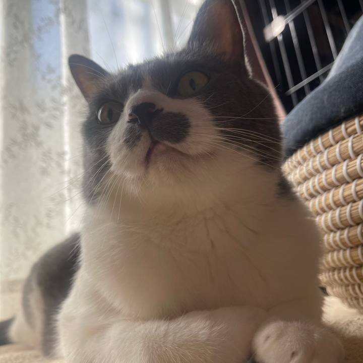 4d4b0fcb 4512 42ff 8fe9 427b580c9fec 1758412240750