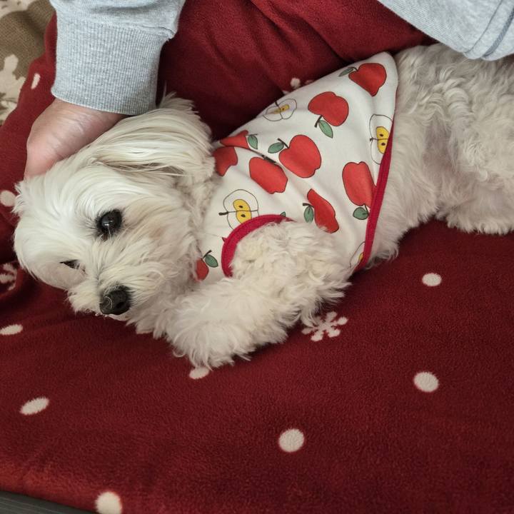 4d4b295b c6a6 45c8 b4e1 5aaaa0b5cb6f 1763864610303