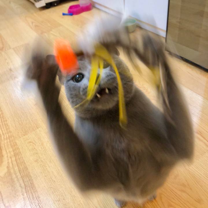 4d4b6176 ba0e 45d4 88c2 049d3c7bbe6b 1609805465988