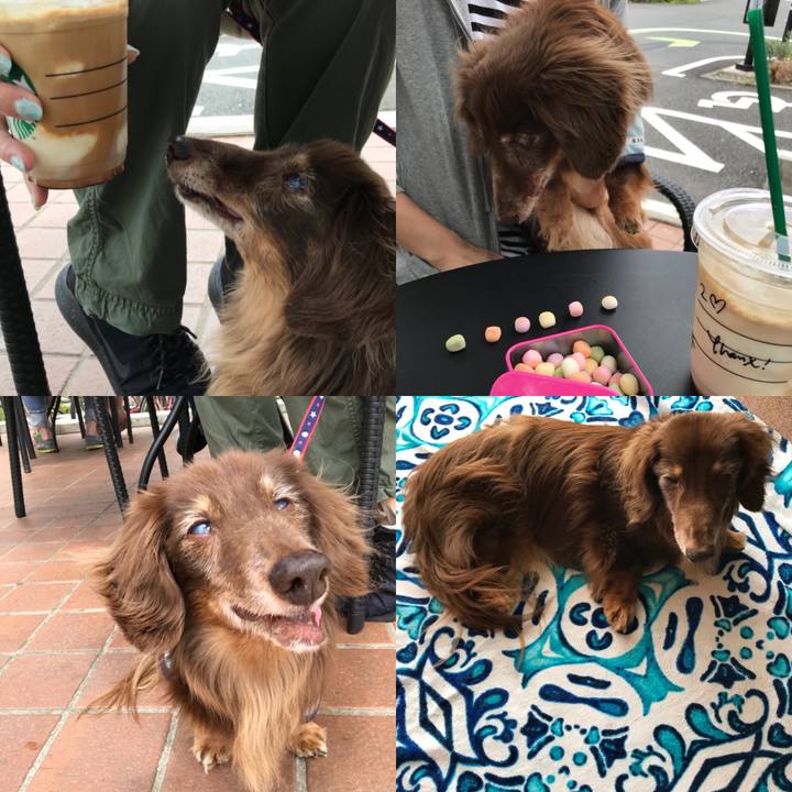 4d4b639d ef7f 4226 bc7f da84b240641f 1526701864669