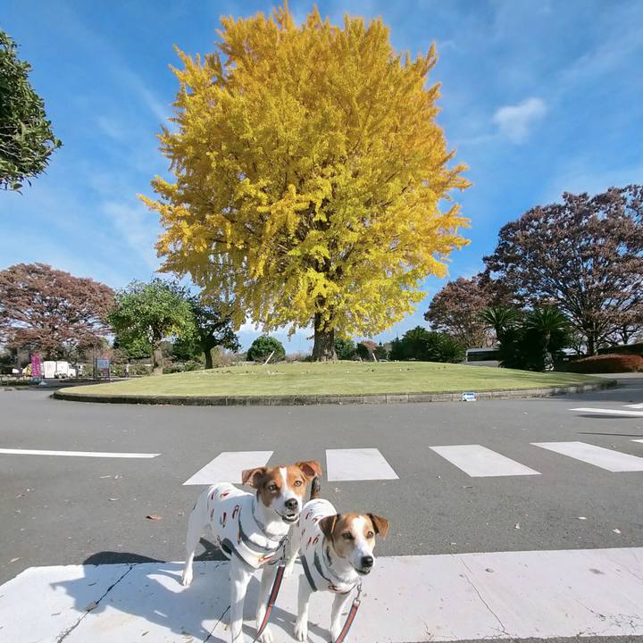 4d4b7879 df6f 424b 90c3 61690a9f6df0 1763890074733