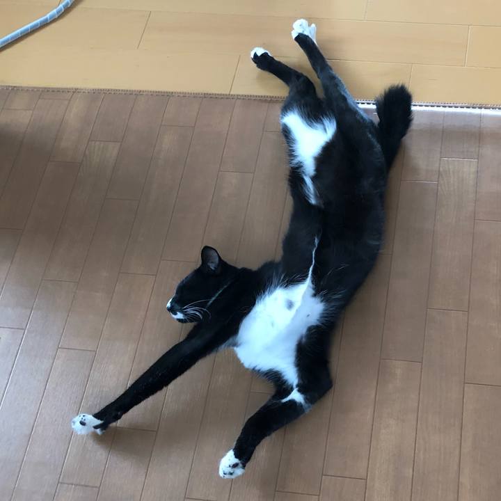 4d4b9105 476a 470f 8c76 03368446749e 1534996325395