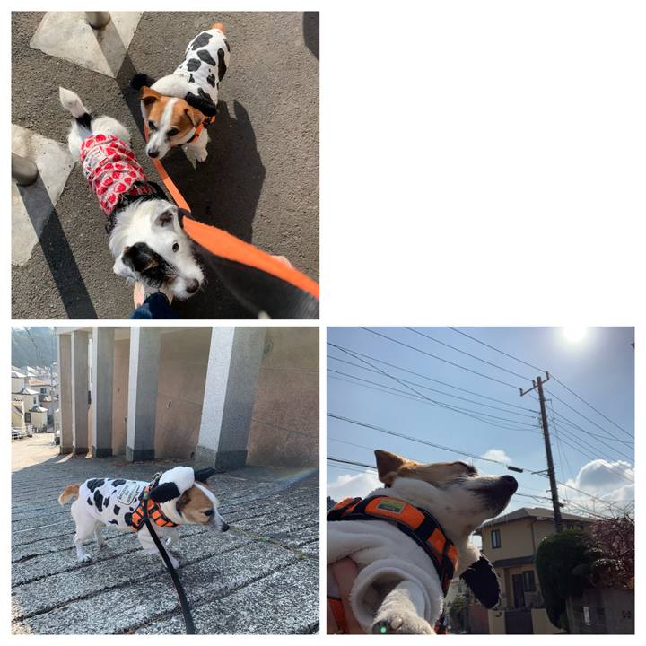 4d4bbcd1 14fc 467b 83eb 20d455871117 1646267624945