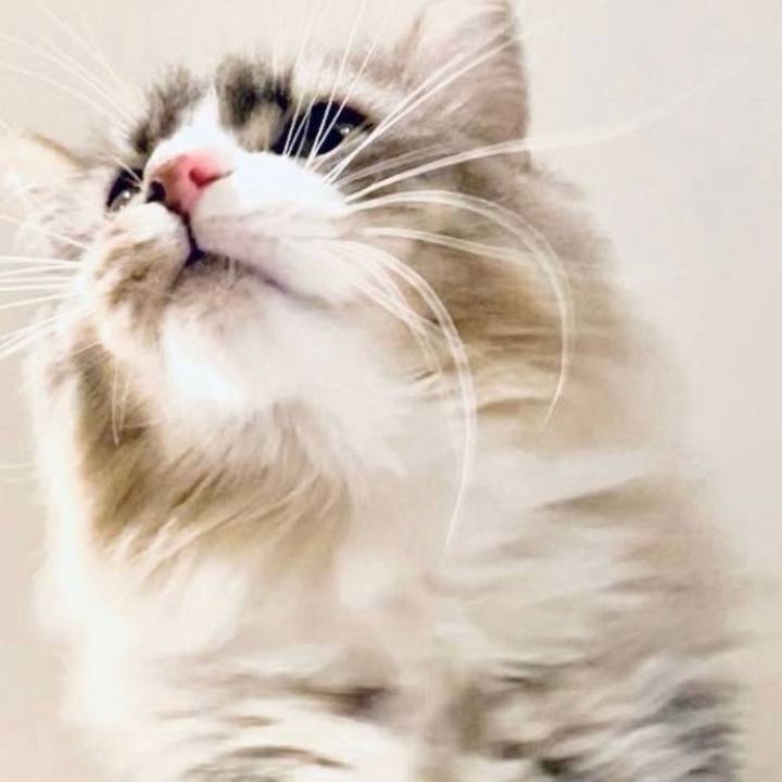 4d4bfb23 1875 4235 8631 719b1c452e15 1755618269037